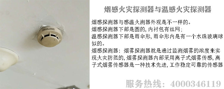 好色先生下载污探測器